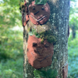 Waldmorgen der Unterstufe